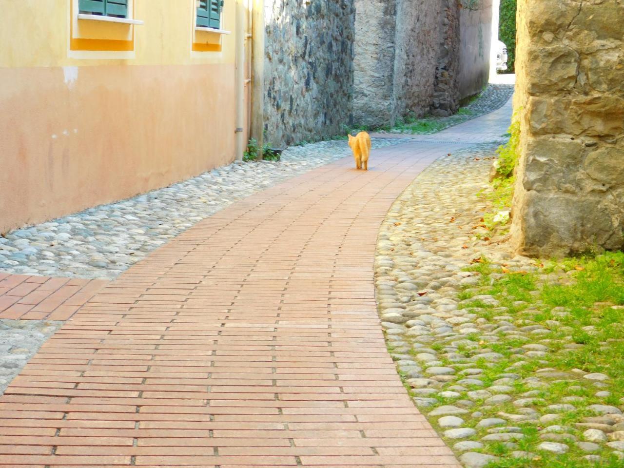 Bellissima Casa Nel Centro Storico!!! Apartman Levanto Kültér fotó
